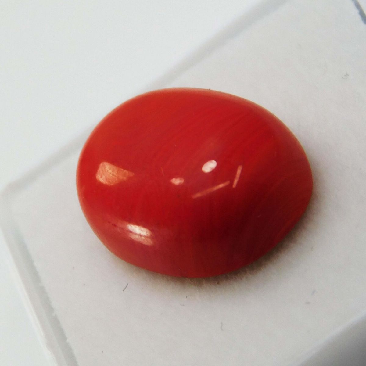 10 Ct Natural Red Coral Italian Cabochon Oval Cut Loose Gemstone