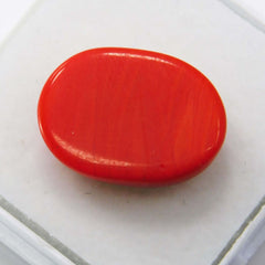 10 Ct Natural Red Coral Italian Cabochon Oval Cut Loose Gemstone