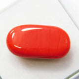 loose coral gemstone India