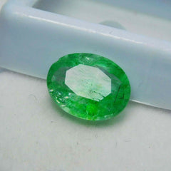 Emerald Green Colombian 7.00 Carat Natural CERTIFIED Oval Cut Loose Gemstone