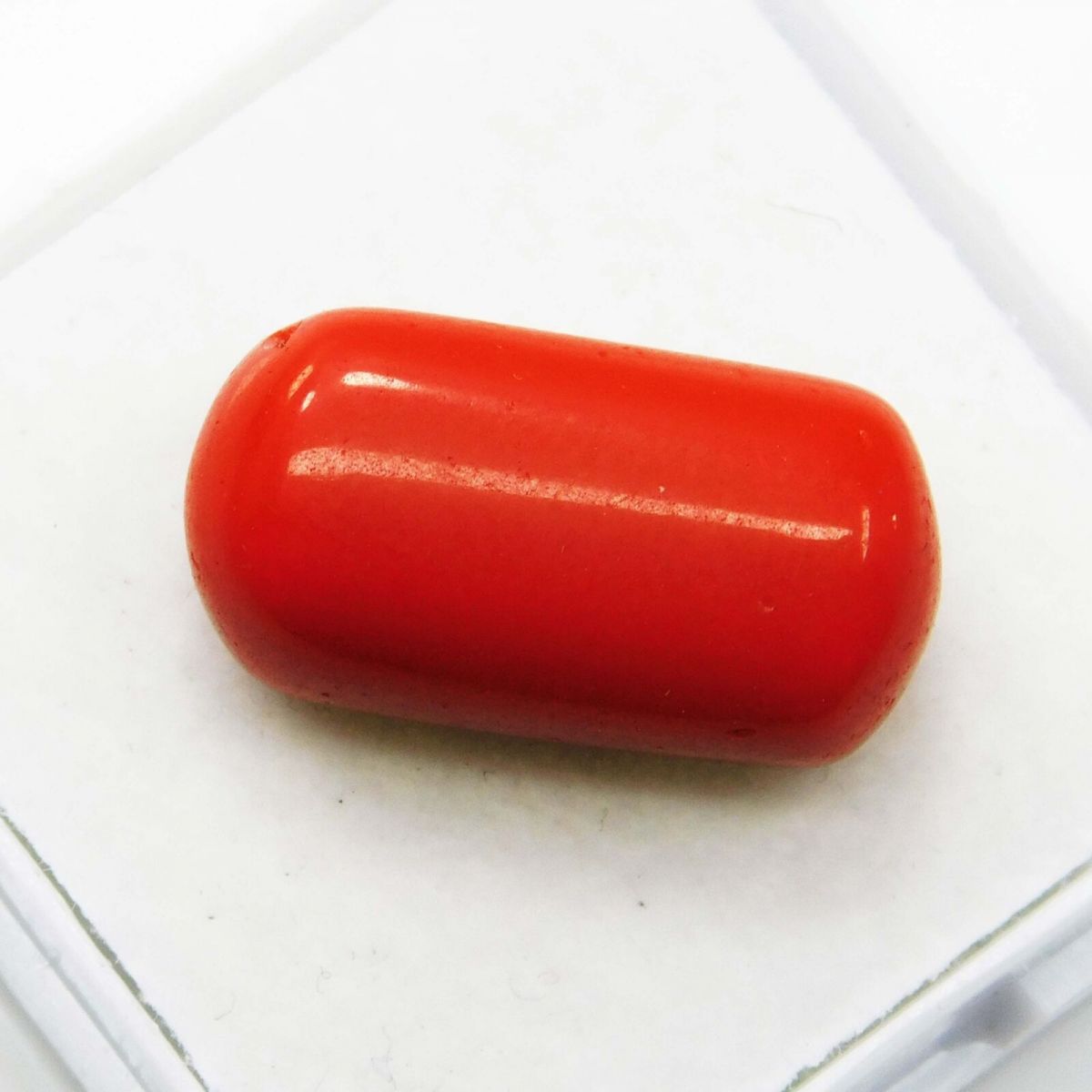 Natural 11 Ct Natural Cabochon Cut Italian Red Coral Loose Gemstone