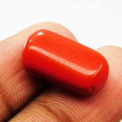 Natural 11 Ct Natural Cabochon Cut Italian Red Coral Loose Gemstone