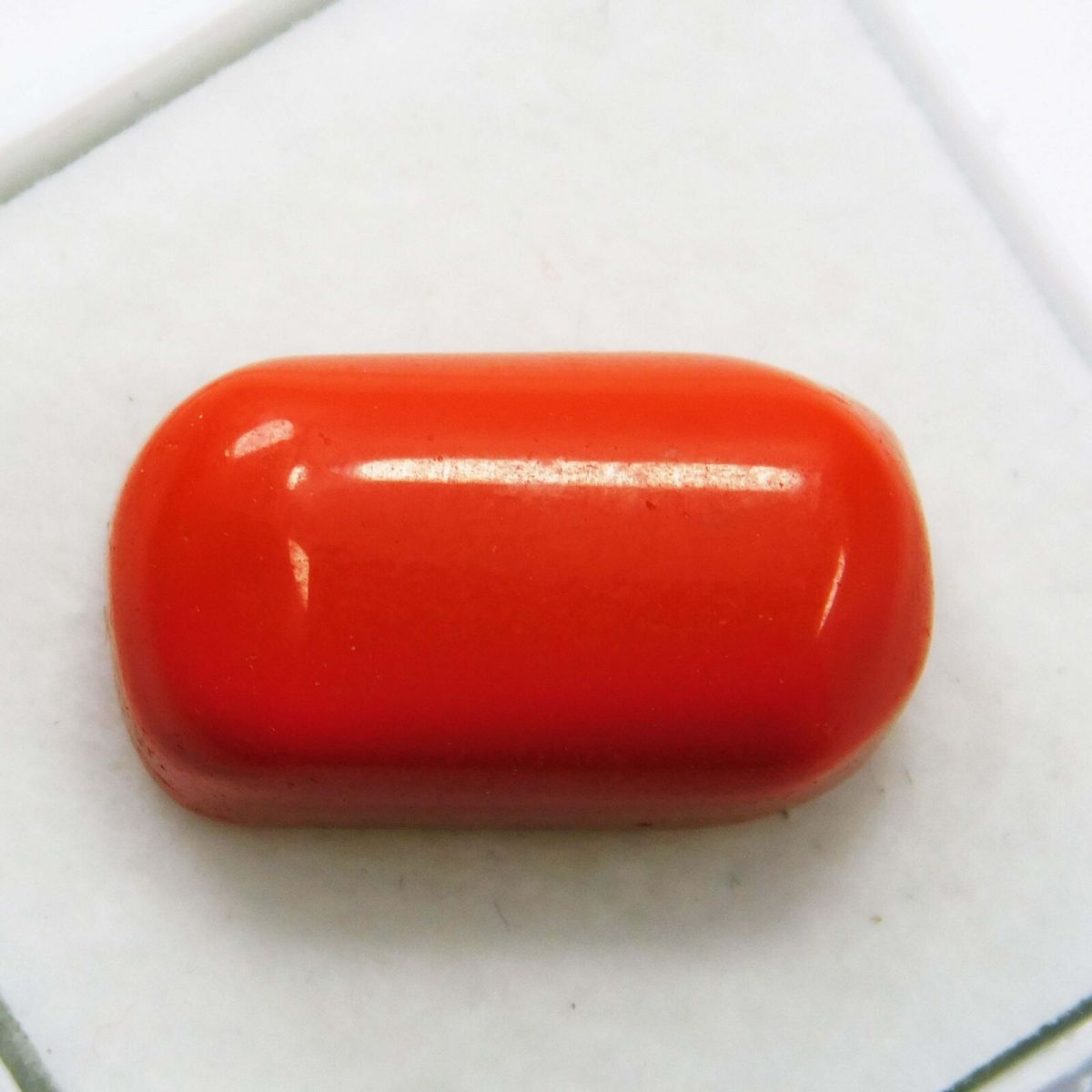 12 Ct Natural Red Coral Italian Cabochon Cut Loose Gemstone