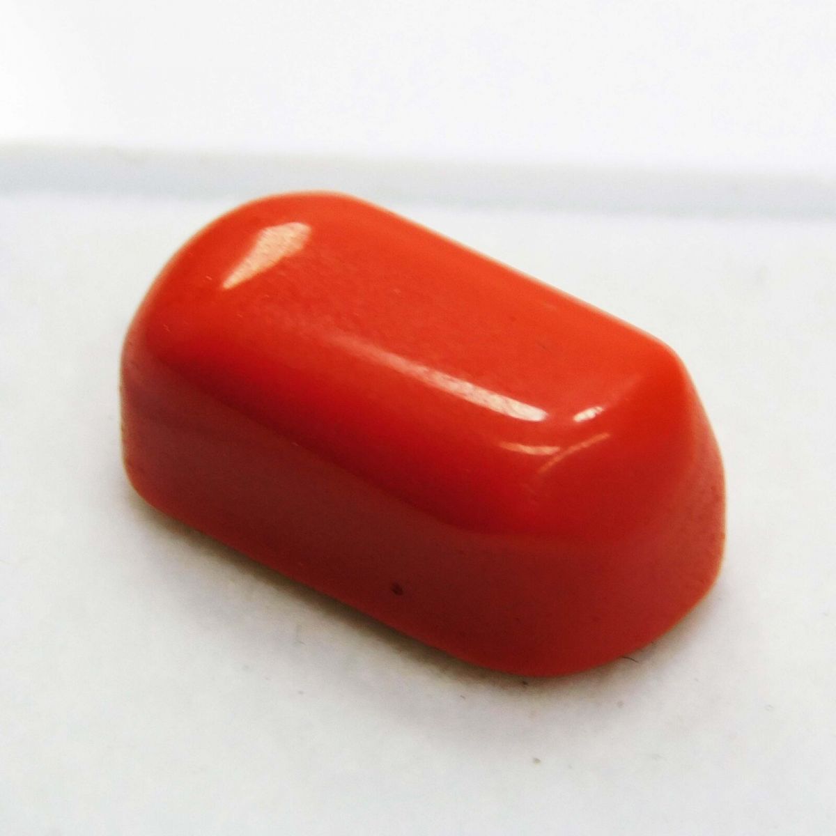 12 Ct Natural Red Coral Italian Cabochon Cut Loose Gemstone