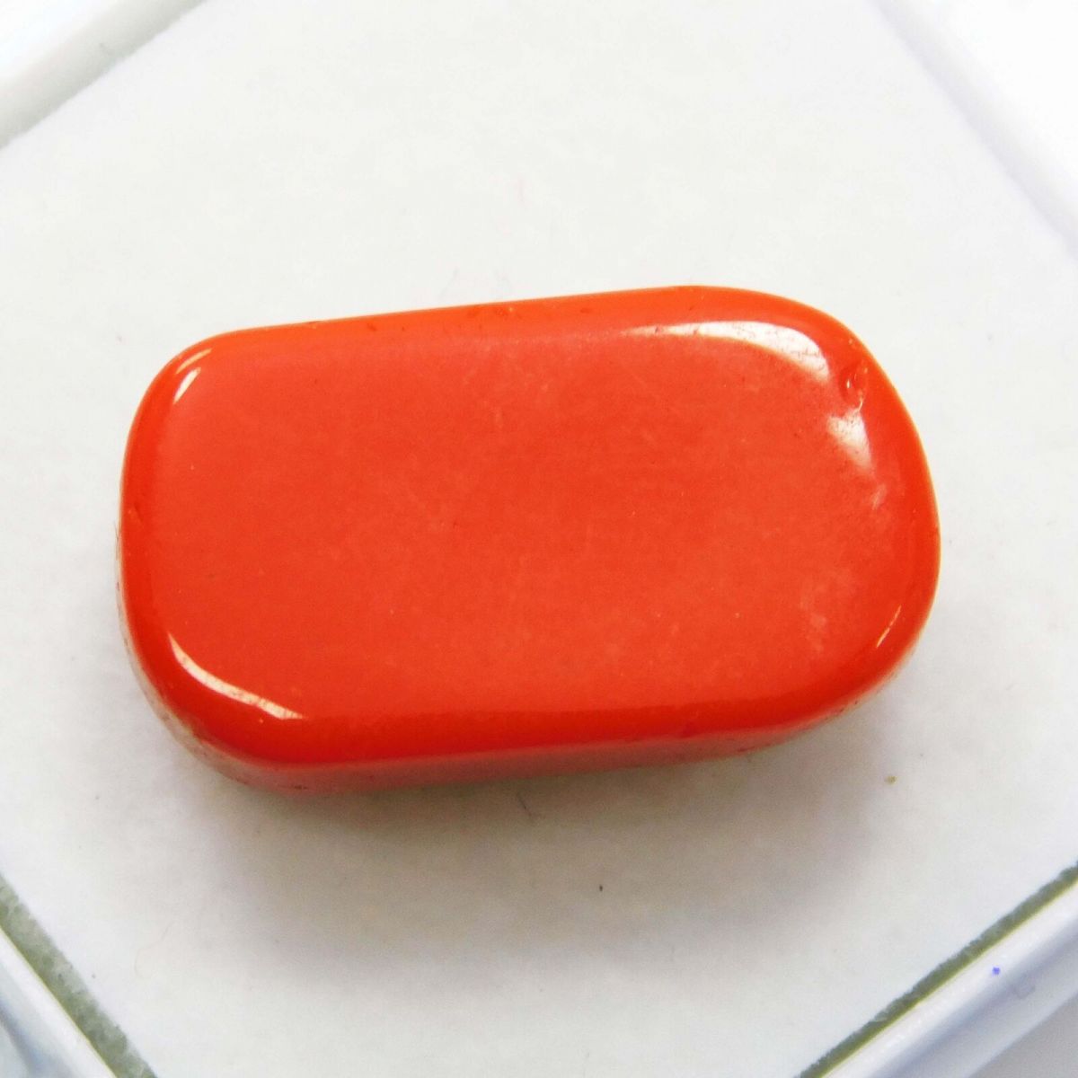 12 Ct Natural Red Coral Italian Cabochon Cut Loose Gemstone