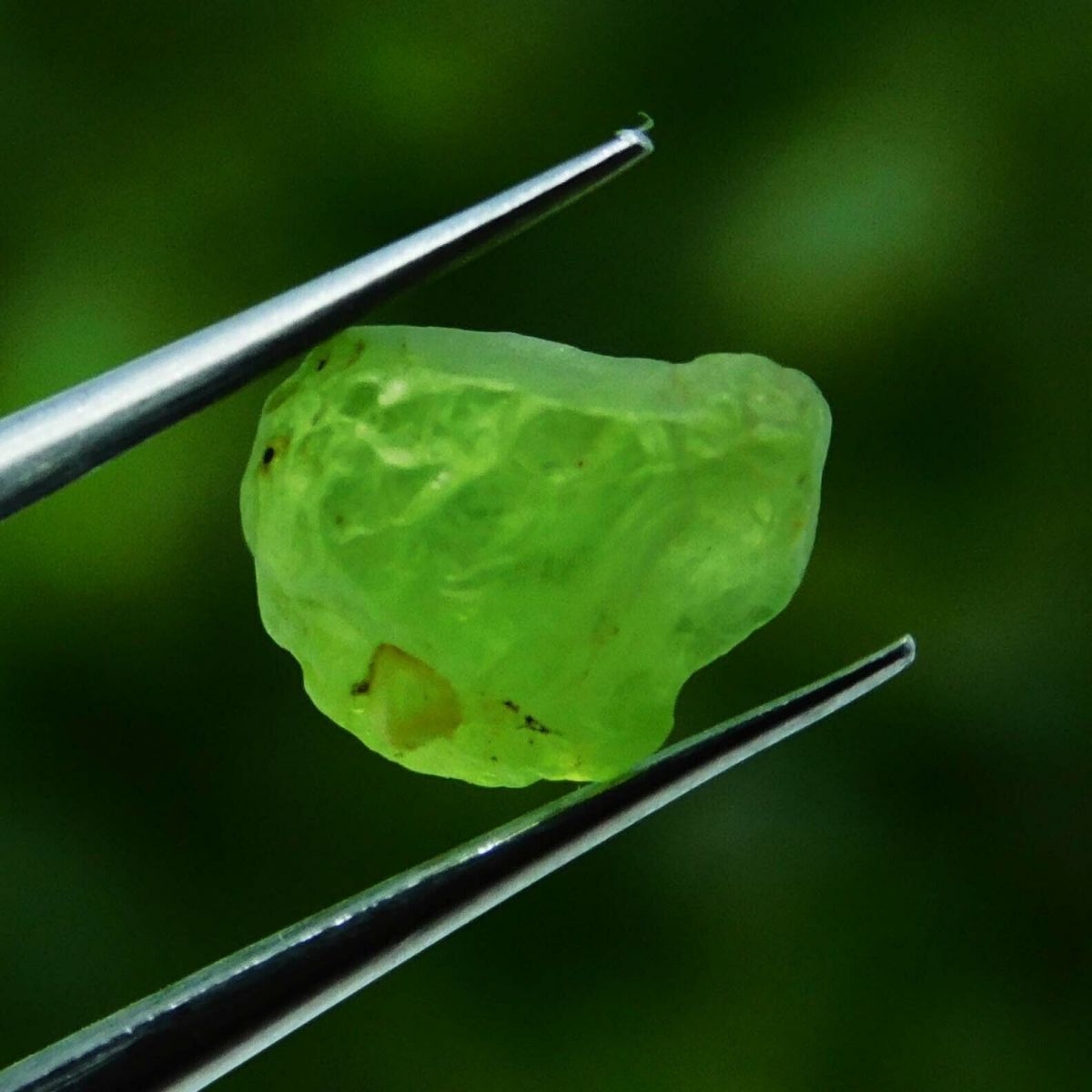 Natural GREEN Peridot ROUGH 10 Ct CERTIFIED Loose Gemstone Lot