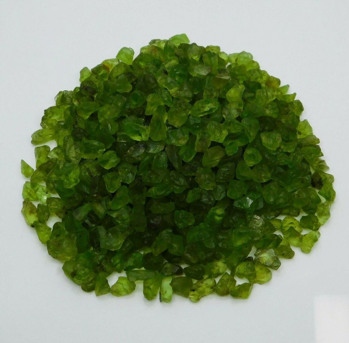 Natural GREEN Peridot ROUGH 10 Ct CERTIFIED Loose Gemstone Lot