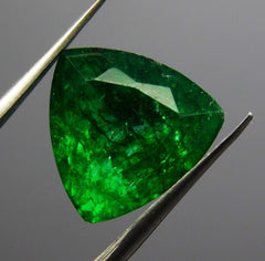 Green Colombian Emerald 7 Carat Natural CERTIFIED Trillion Cut Loose Gemstone