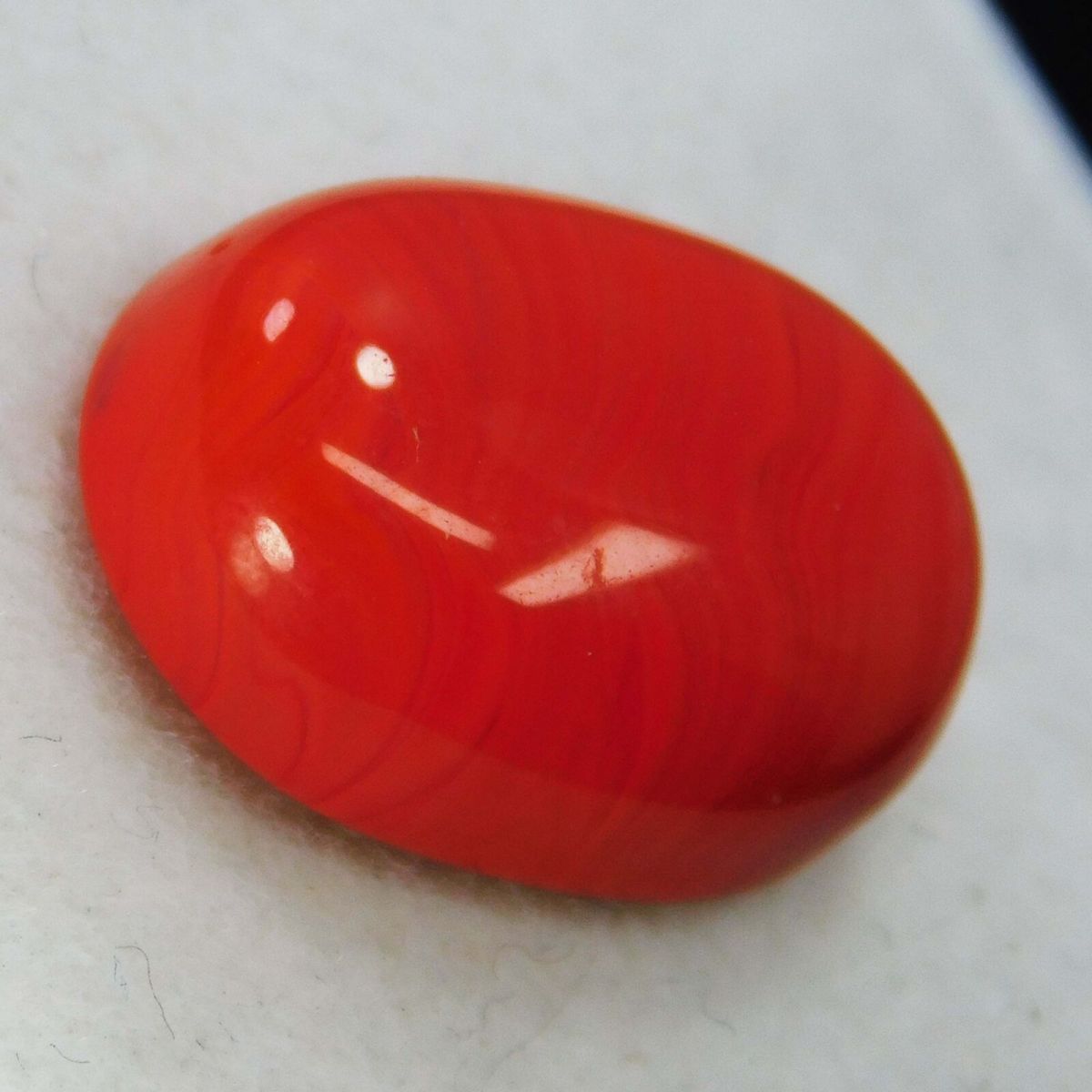 Natural 10 Ct Natural Cabochon Oval Cut Italian Red Coral Loose Gemstone