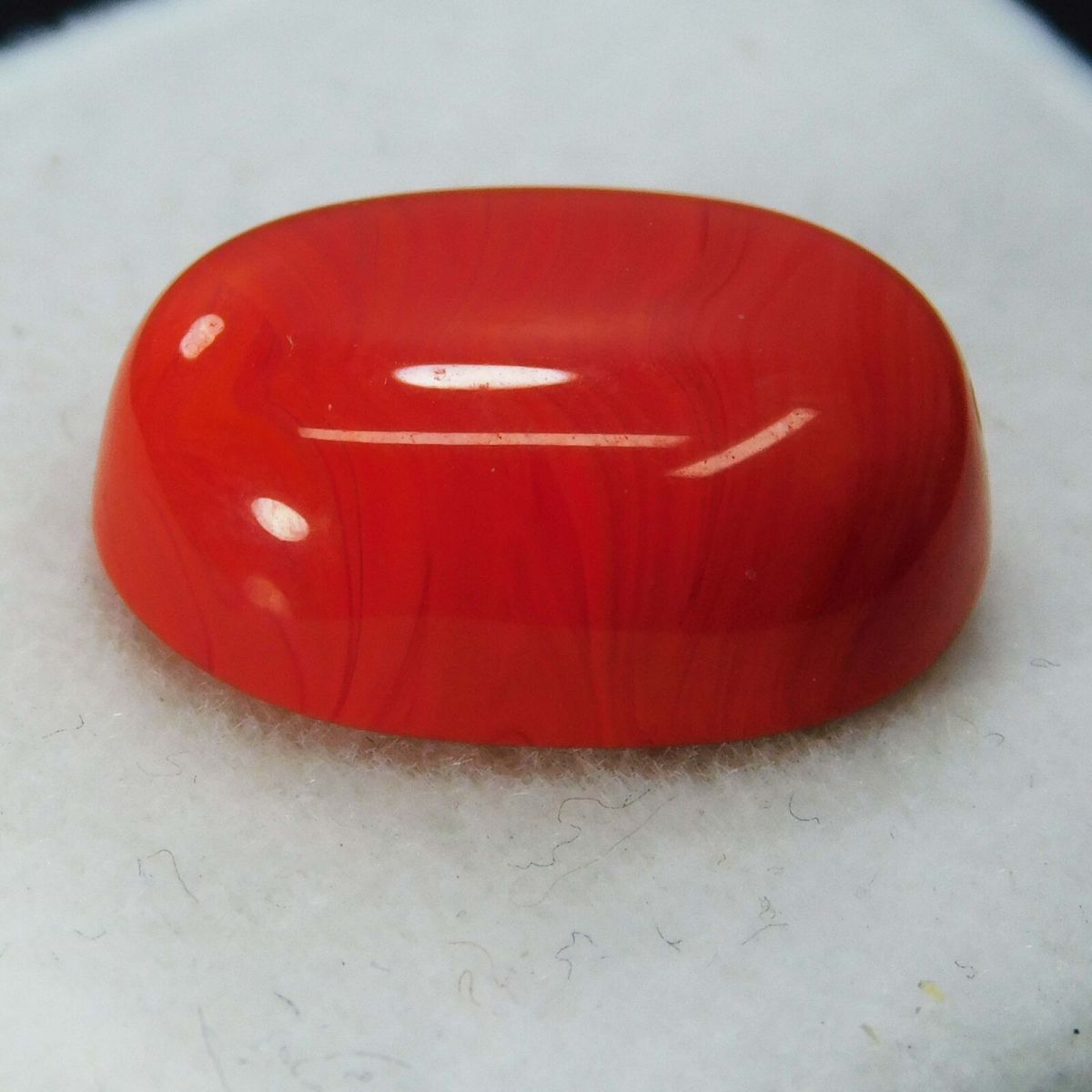 Natural 10 Ct Natural Cabochon Oval Cut Italian Red Coral Loose Gemstone