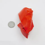 Natural Red Coral Rough Italian Uncut 1485.70 Ct Loose Gemstone CERTIFIED