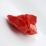 Natural Red Coral Rough Italian Uncut 1485.70 Ct Loose Gemstone CERTIFIED