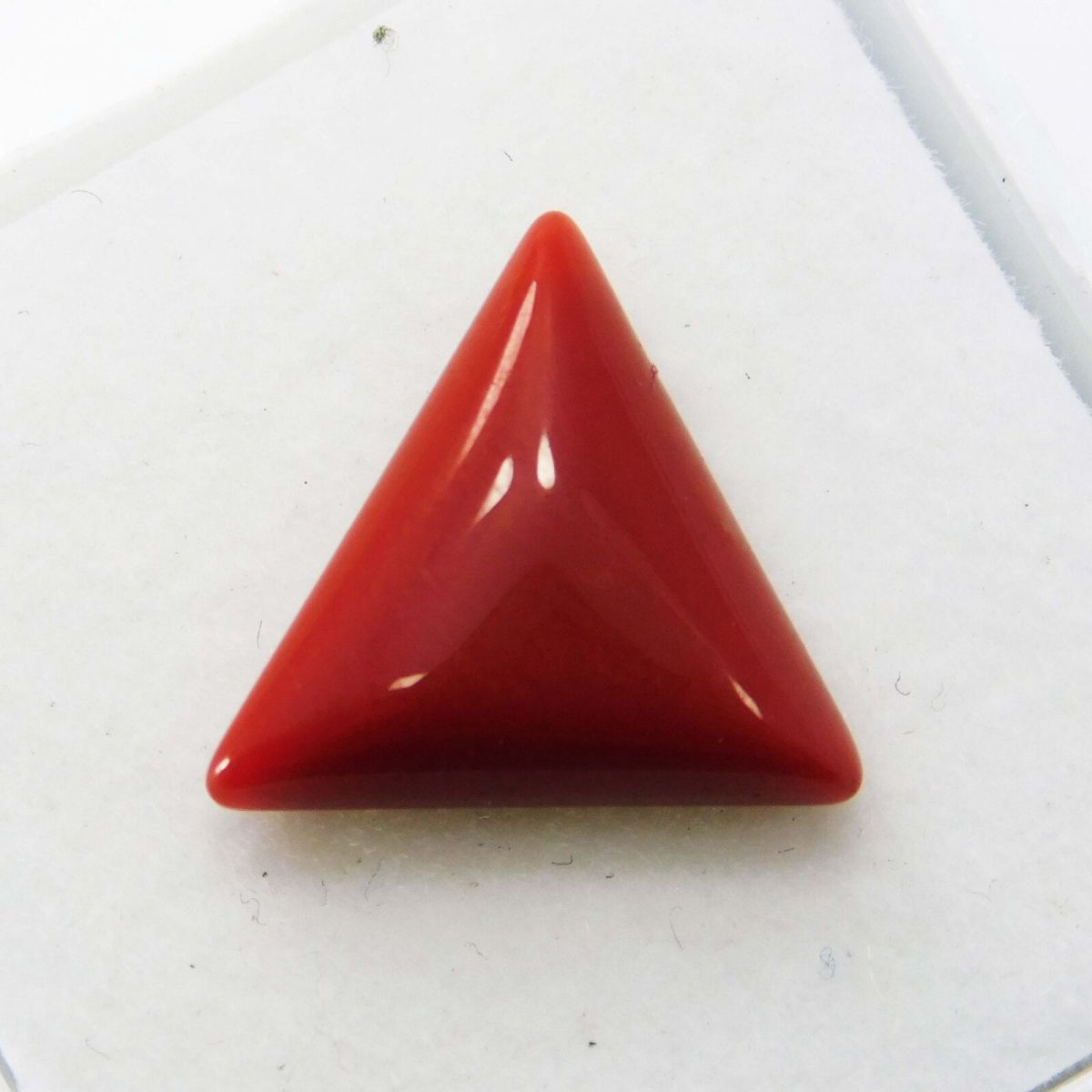 3 Ct Natural Red Coral Italian Cabochon Trillion Cut Loose Gemstone