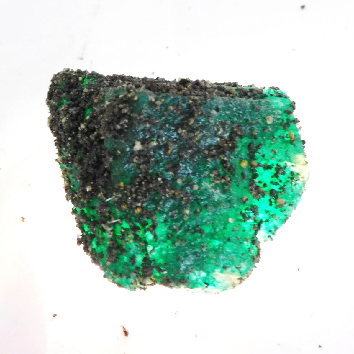 Colombia's Green Emerald Raw Rough Natural 352.20 Ct CERTIFIED Loose Gemstone