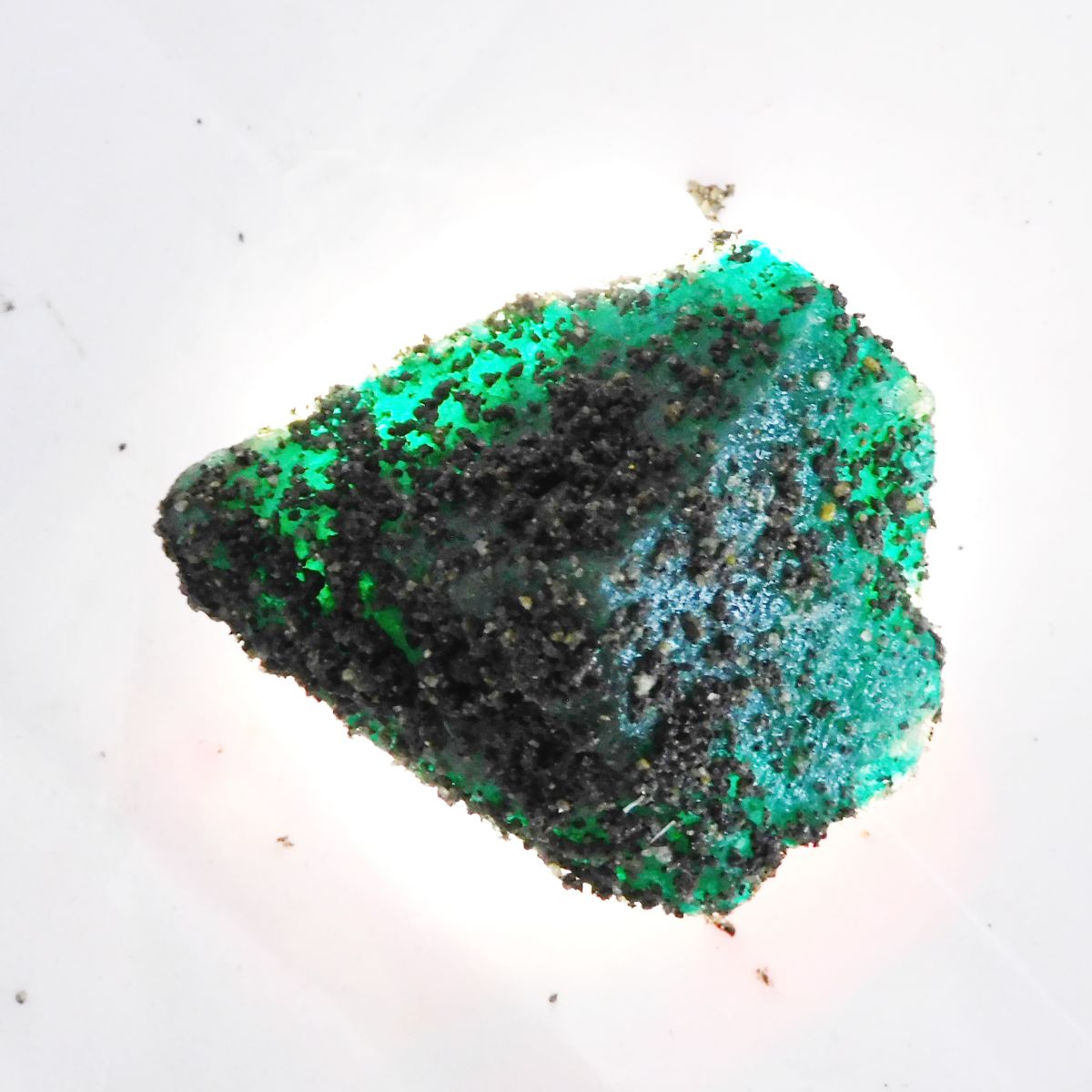 Colombia's Green Emerald Raw Rough Natural 352.20 Ct CERTIFIED Loose Gemstone