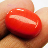 certified coral stone