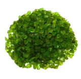 10.46 Ct Natural Peridot Certified Rough Gemstone green rough