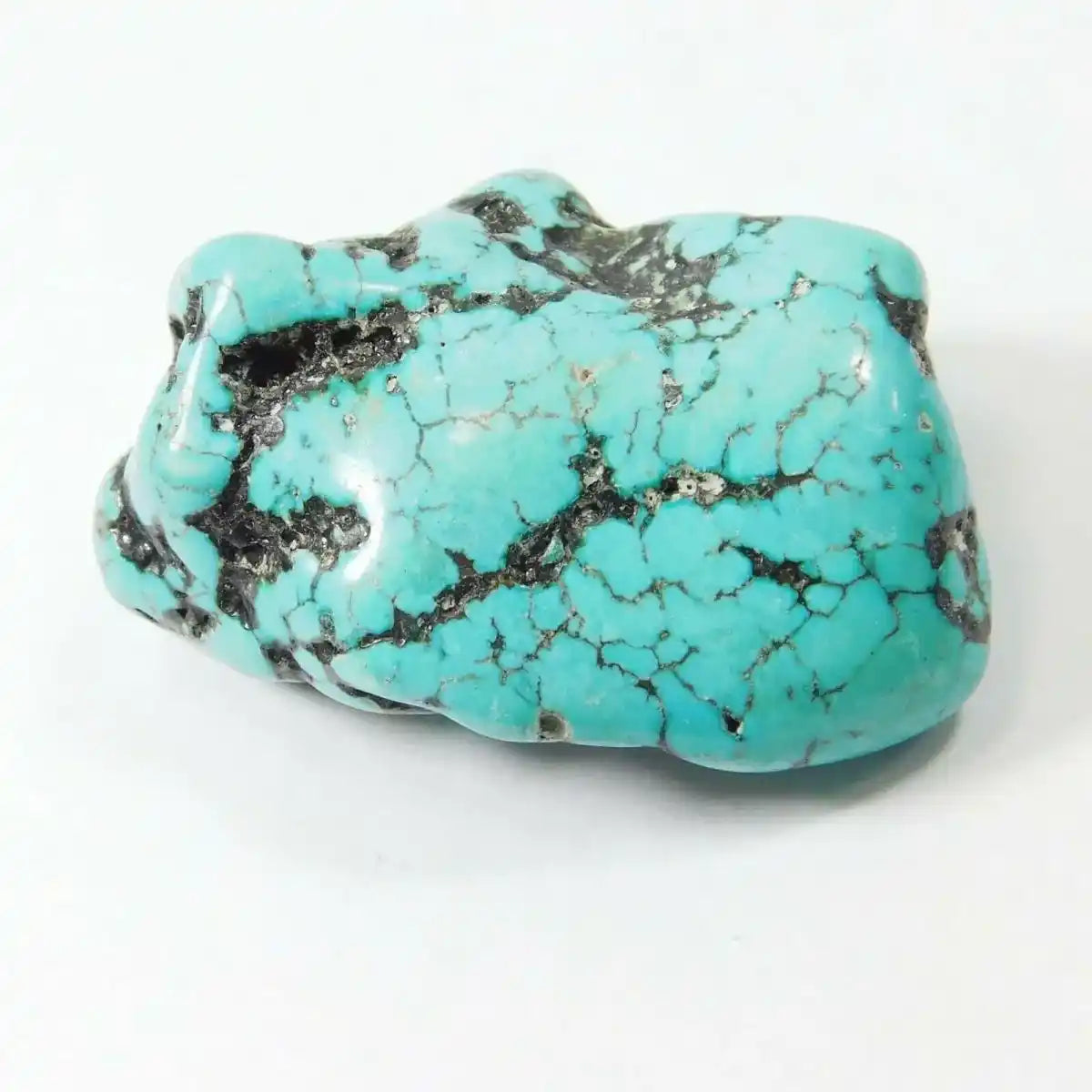Turquoise stone with black matrix on a white background