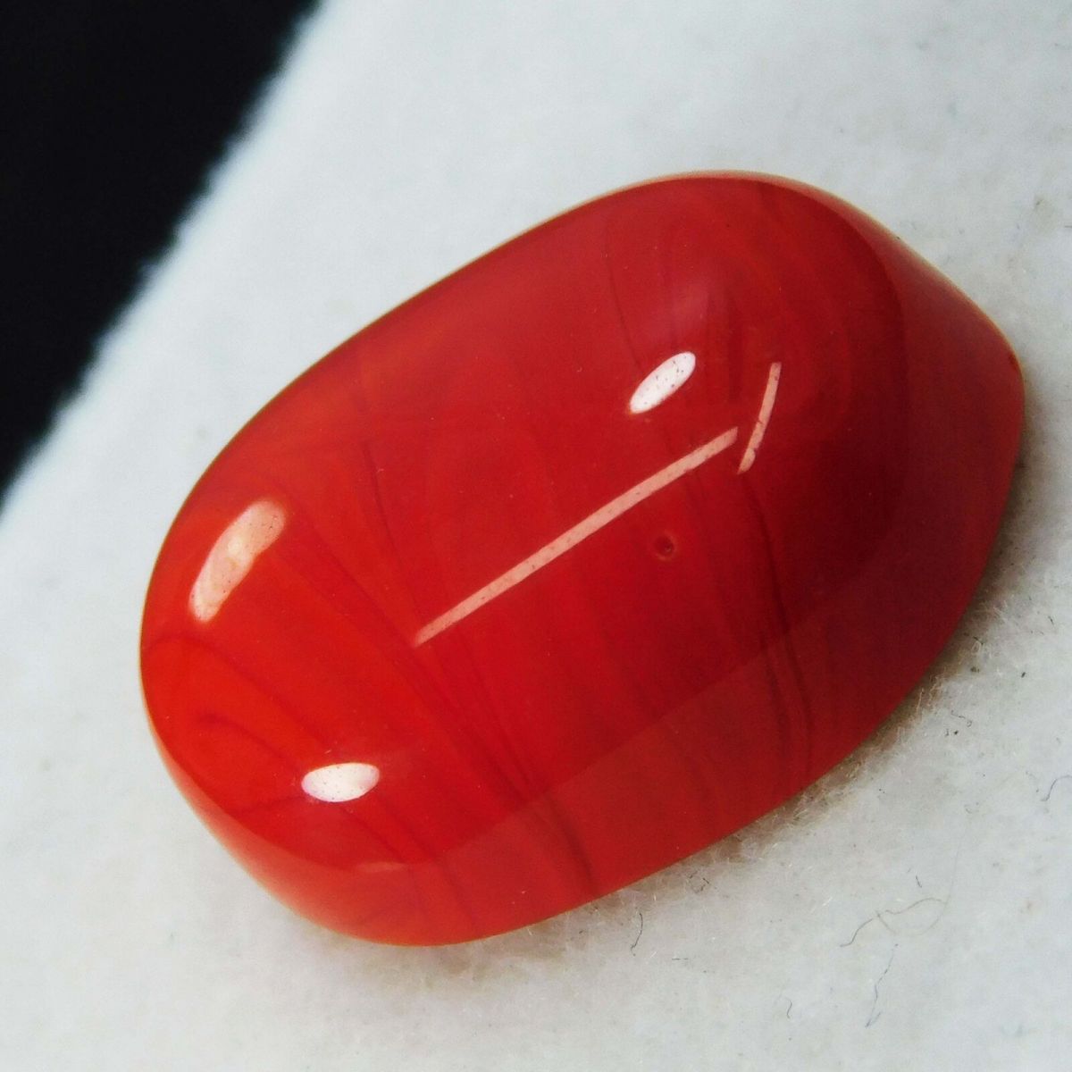 10 Ct Natural Italian Red Coral Loose Gemstone Cabochon Oval Cut