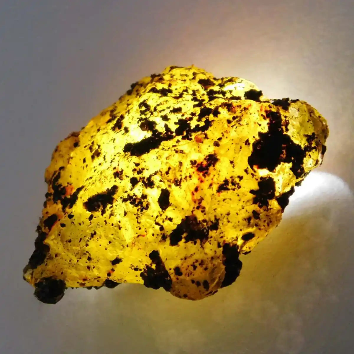 Yellow rock with black spots on a gray background
