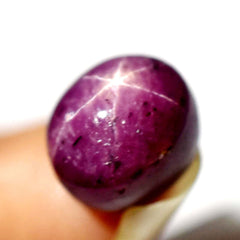 6.50 Ct Natural Red Star Ruby Loose Gemstone CERTIFIED Oval  Shape AA++ Quality