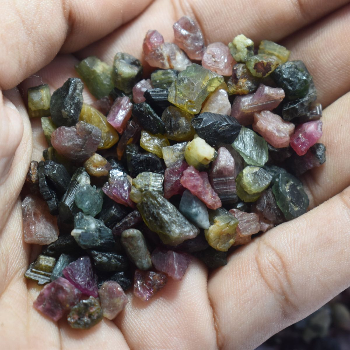 1247.00 Ct Natural UnCut Mix Color Tourmaline Rough CERTIFIED Loose Gemstone Lot