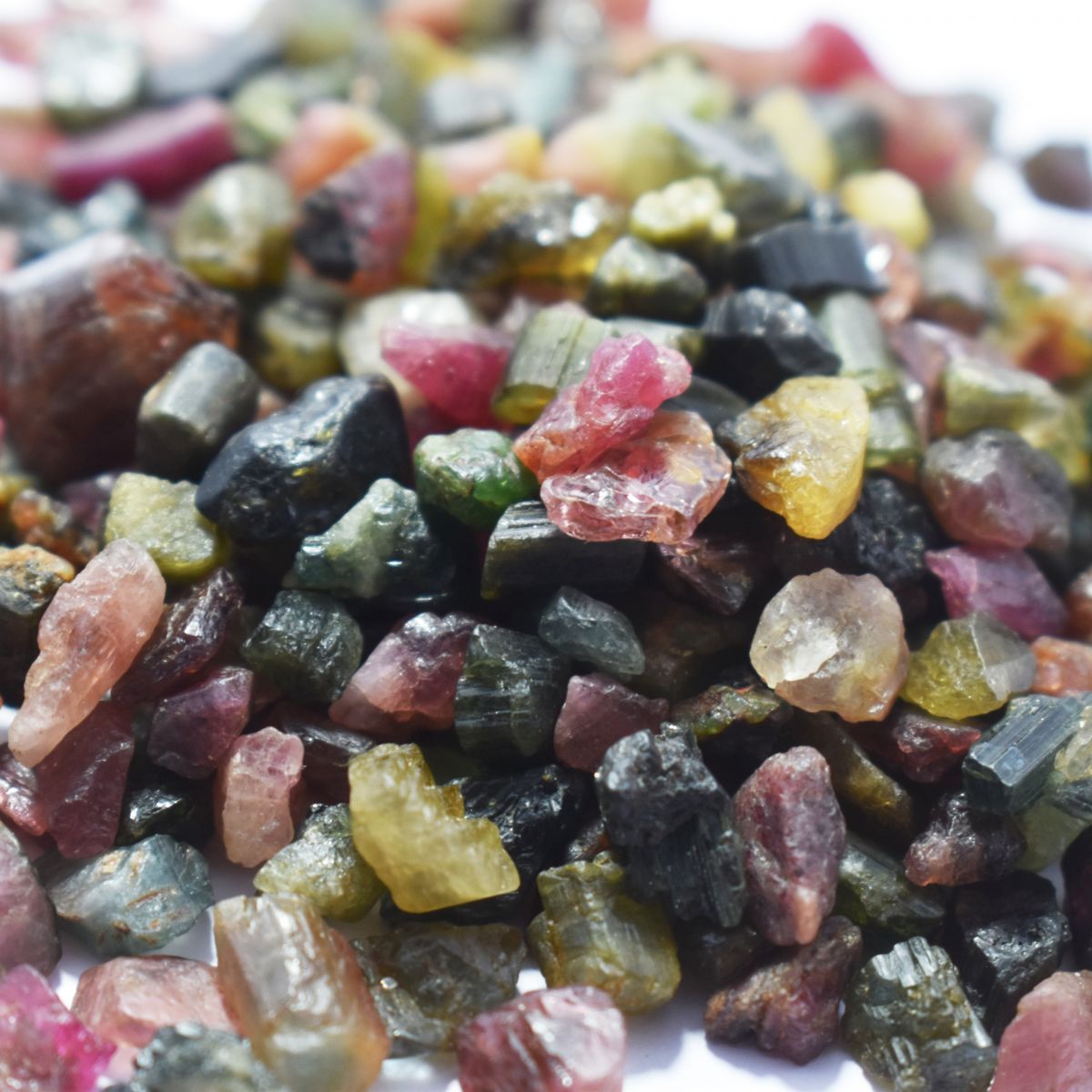 1247.00 Ct Natural UnCut Mix Color Tourmaline Rough CERTIFIED Loose Gemstone Lot