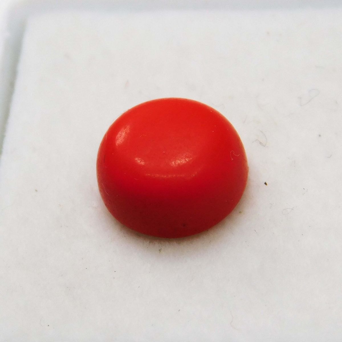 2 Ct Natural Red Coral Italian Cabochon Round Cut Loose Gemstone