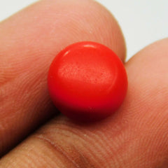 2 Ct Natural Red Coral Italian Cabochon Round Cut Loose Gemstone