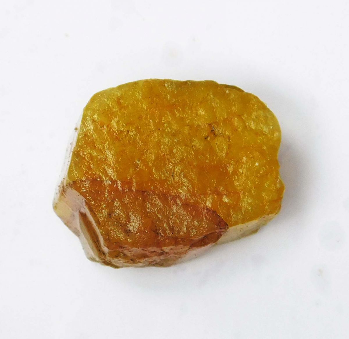 249 Ct Natural Yellow Sapphire  Earth Mined Loose Gemstone Huge Rough CERTIFIED