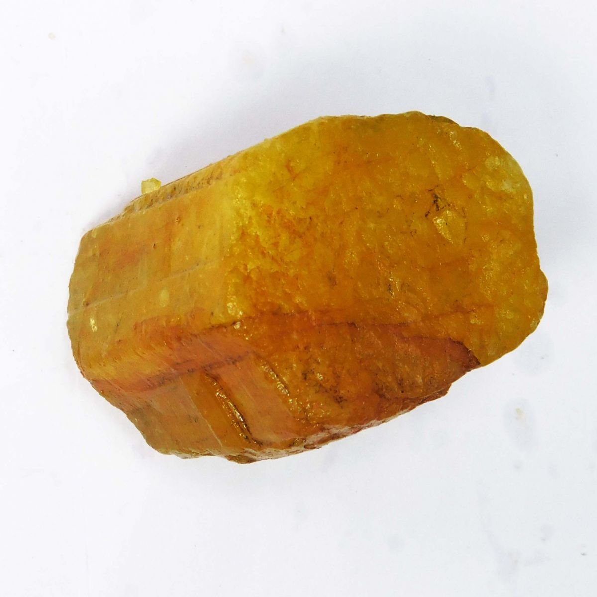 249 Ct Natural Yellow Sapphire  Earth Mined Loose Gemstone Huge Rough CERTIFIED