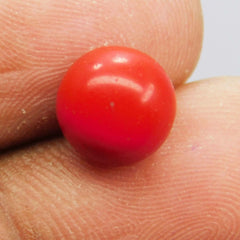 2.50 Ct Natural Italian Red Coral Loose Gemstone Cabochon Round Cut CERTIFIED