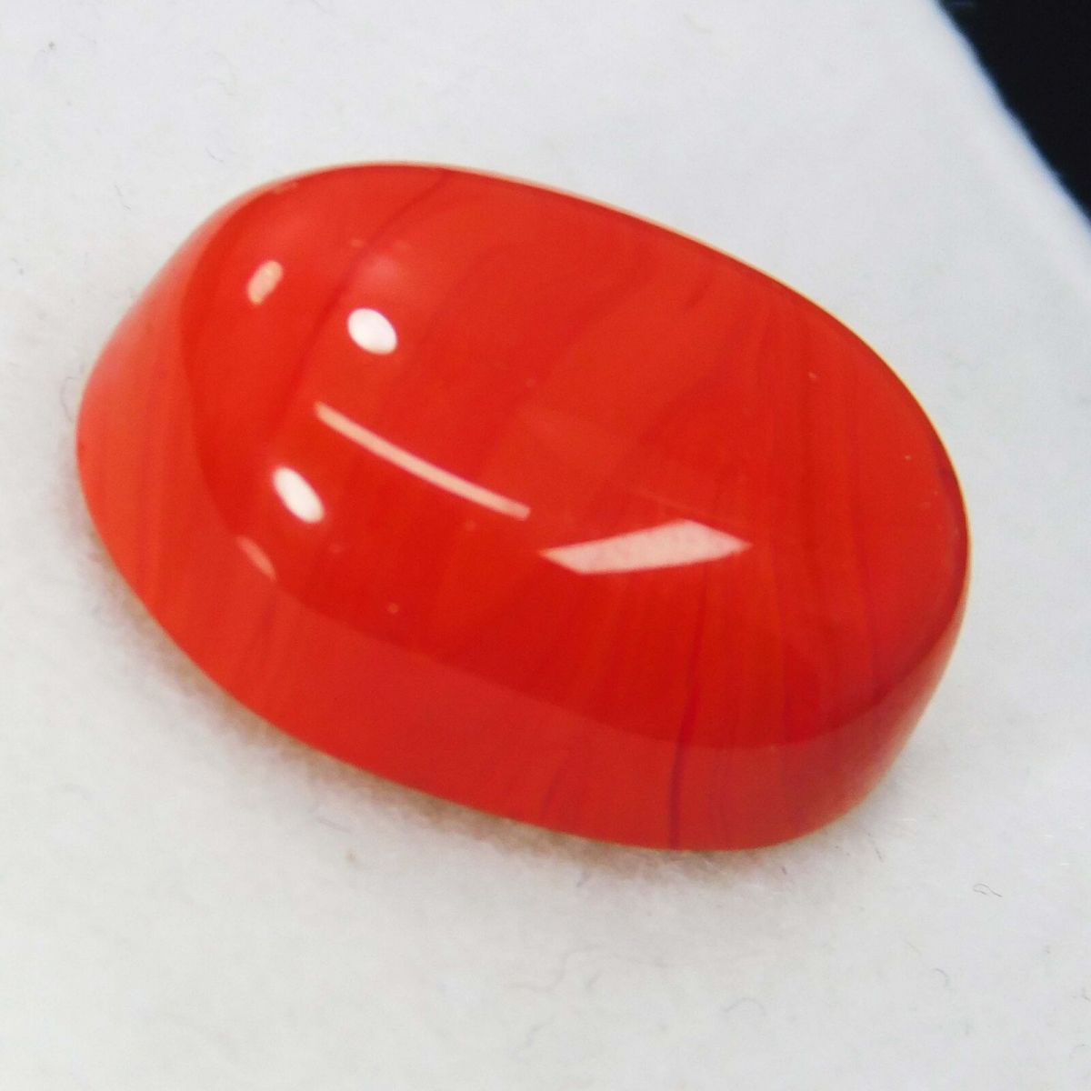 Natural 10 Ct Natural Cabochon Oval Cut Italian Red Coral Loose Gemstone