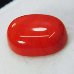 Natural 10 Ct Natural Cabochon Oval Cut Italian Red Coral Loose Gemstone