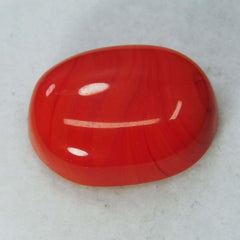 Natural 10 Ct Natural Cabochon Oval Cut Italian Red Coral Loose Gemstone