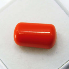 6 Ct Natural Red Coral Italian Cabochon Cut Loose Gemstone