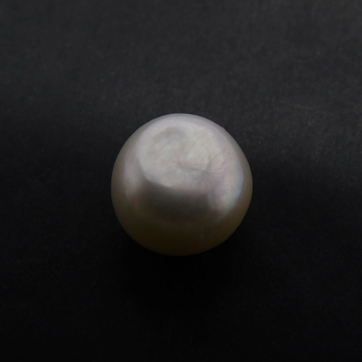 Natural Sea Pearl CERTIFIED Loose Gem 4.05 Carat White Mabel Excellent Round Cut