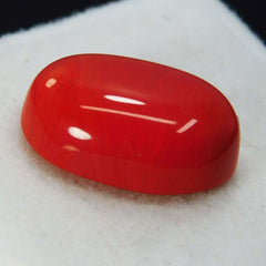 Natural 10 Ct Natural Cabochon Oval Cut Italian Red Coral Loose Gemstone