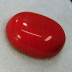 Natural 10 Ct Natural Cabochon Oval Cut Italian Red Coral Loose Gemstone