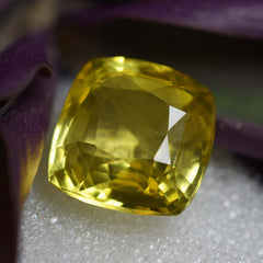 CERTIFIED 10.15 Carat Natural Sapphire Loose Gemstone Yellow Square Cushion Cut