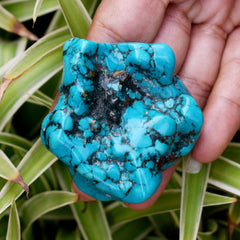 Natural Turquoise Blue 364.85 Ct Uncut Raw Rough Supreme Quality Gemstone