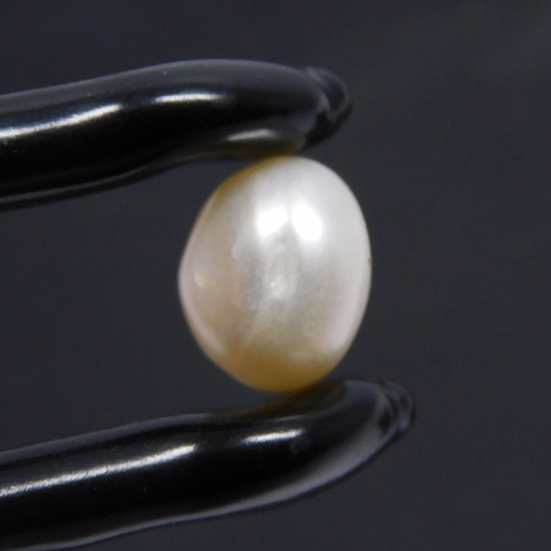 Jwelery Making White Pearl Set , 5.00 Carat Round Cut Natural Certified SEA Pearl Loose Gemstone , Engagement Rings , Pearl Ring , White Pearl