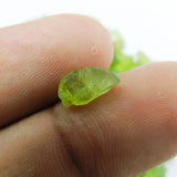 ON SALE !!! Peridot Lot 250 Ct A+ Quality Natural Green Peridot Uncut Raw Rough 13x8 Loose Gemstone Wholesale Lots | Free Delivery Free Gift -Peridot Best For Gift - Its trust Positivity Renewal Protection