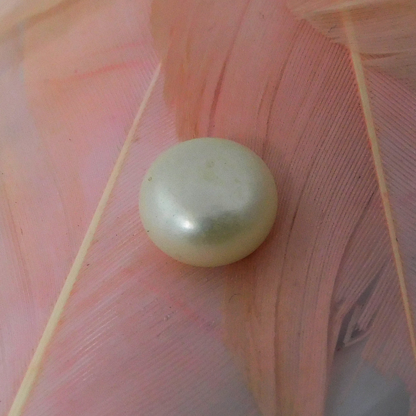 SEA Soft White Pearl 3.05 Carat SEA Pearl Natural Tahitian Pearls Certified Loose Gemstone | Free Shipping & Gift | Gift For Her/ Him