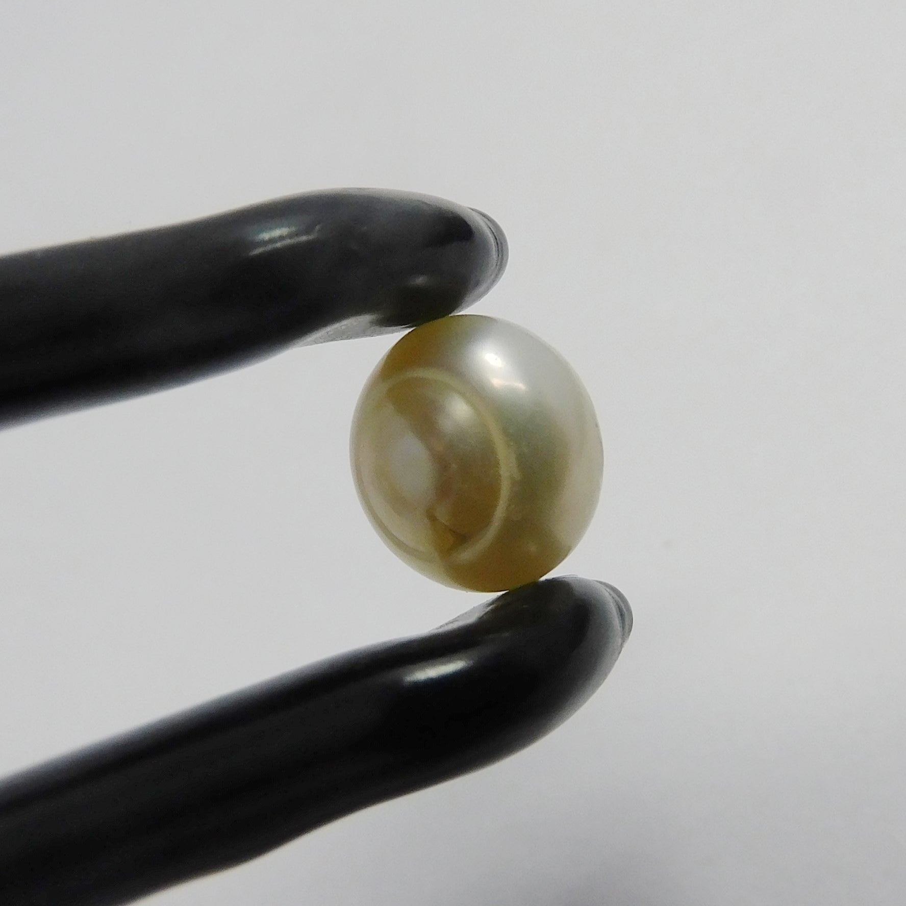 Certified Rings Size Pearl !!! 3.25 Carat Natural SEA Pearl White Color Loose Gemstone | On price | Beautiful Pearl | Biggest Offer