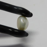 White Color Fresh SEA Pearl 3.80 Carat Round Shape Natural CERTIFIED Loose Gemstone | Beautiful Necklace | Rings Making