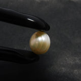 Pendant Making Pearl Gemstone !! 3.10 Carat Natural White Color MABE Pearl Loose Gemstone | Have It | Summer's Brilliant Offer