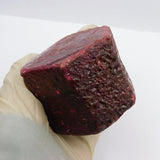Natural Burmese Ruby Rough uncut raw ruby held in hand scale photo