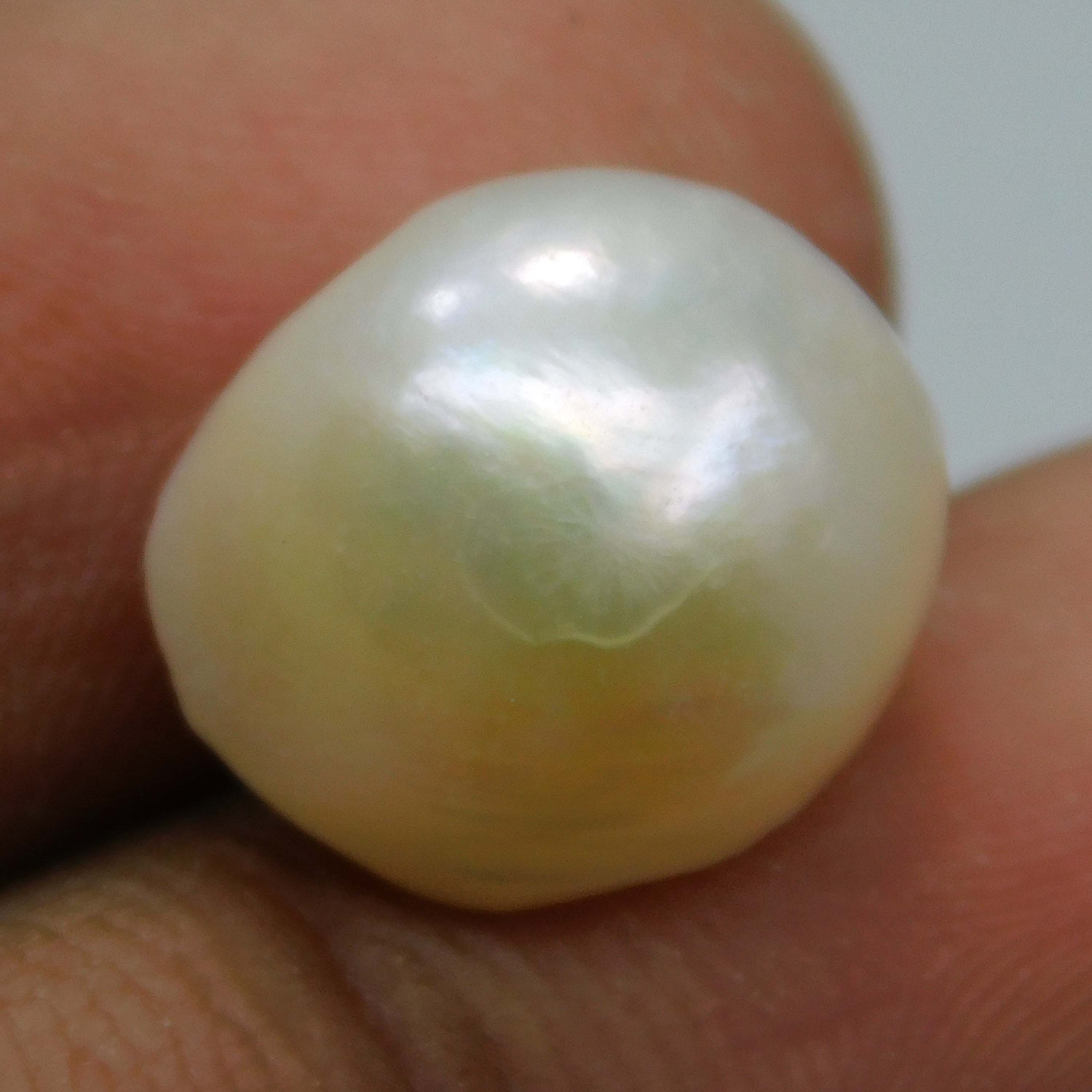 12 MM White MABE South Pacific SEA CERTIFIED Loose PEARL