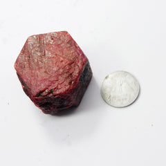 Natural Red Ruby Rough Loose Gemstone Uncut Raw 918.39 Carat CERTIFIED | Best Sale | Best Collection